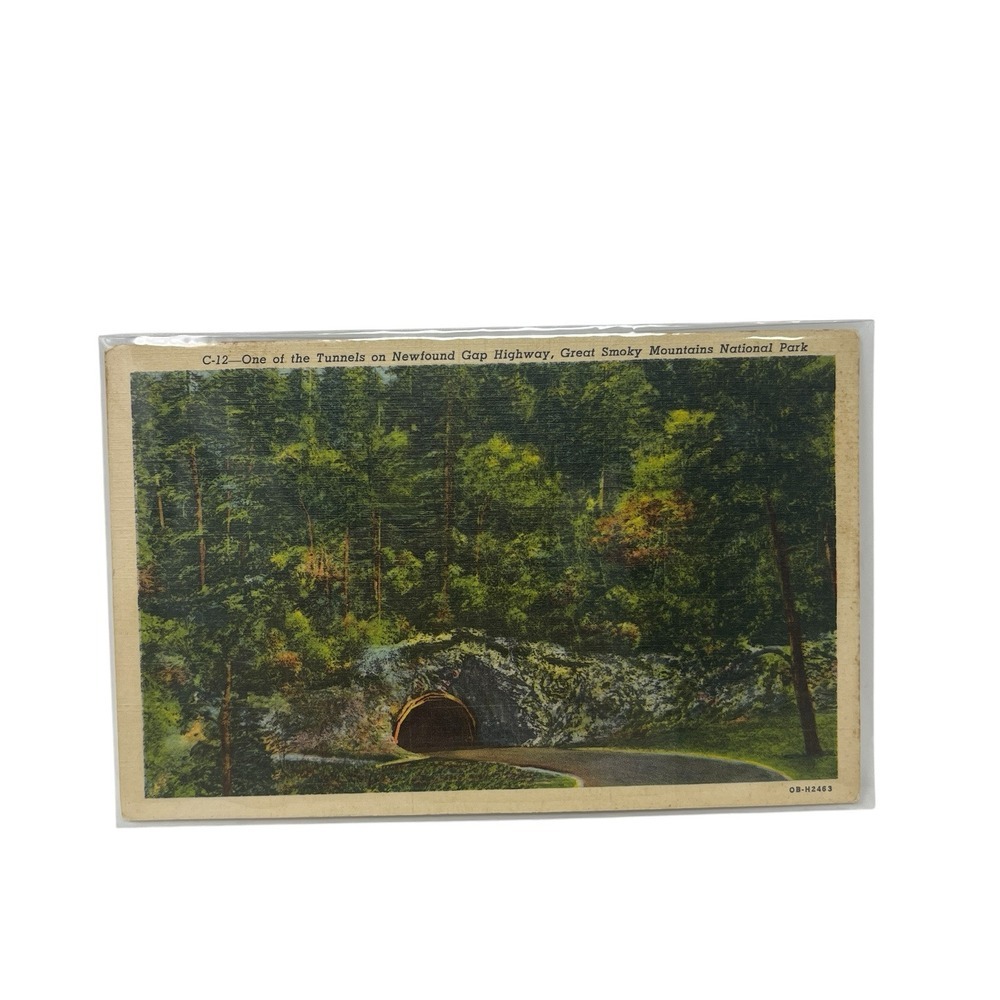 Newfound Gap Highway Tunnel Great Smoky Mnts National Park‎ VTG Linen Postcard